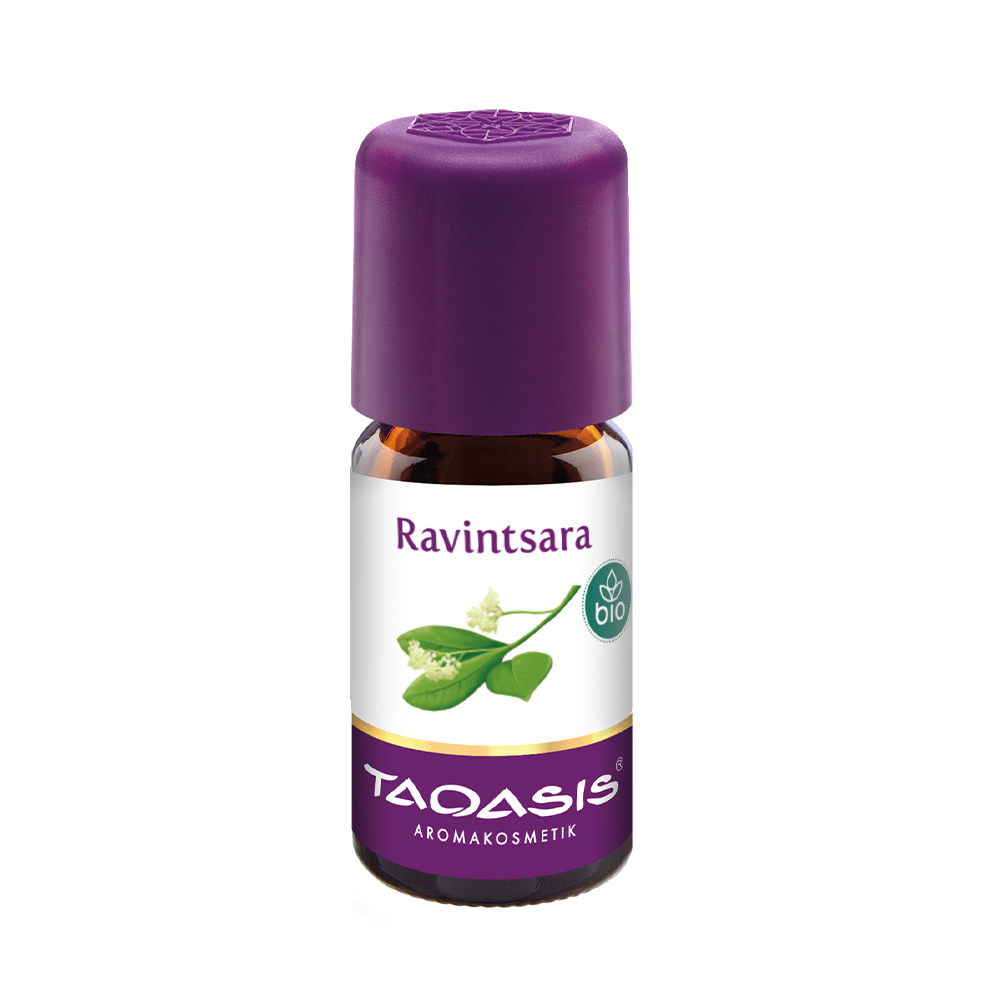 Ravintsara, 5 ml BIO, Cinnamomum camphora - 100% naturalny olejek eteryczny, Madagaskar, Taoasis